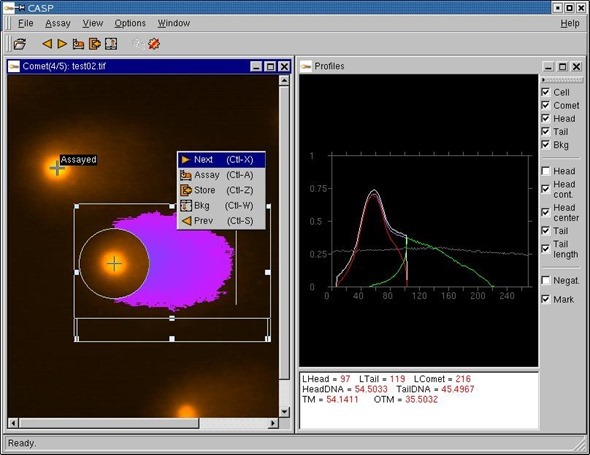 comet assay results